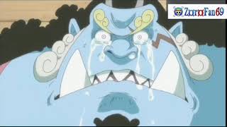 Jinbei Edit - Fearless