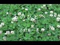 あのひとへ 作詞/作曲 唄 小野原一晃 【オリジナル曲】