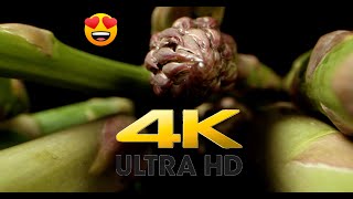 Macro Magic With Asparagus Stunning Shots Using Laowa 24Mm Lens