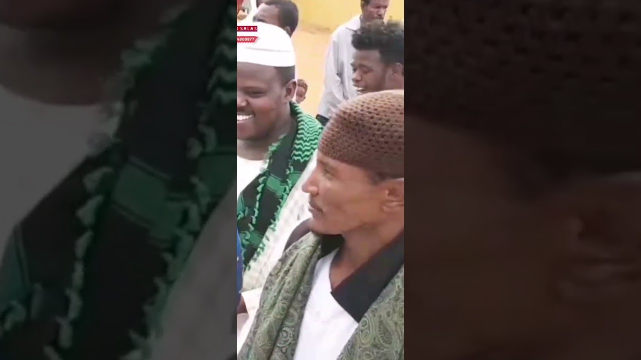 قلبي المعني جديد مدثر عوض الجيد 2024