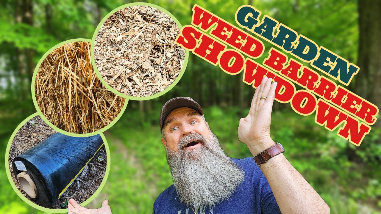 Garden Weed Barrier Showdown Wood Chips, Straw, or Landscape Fabric? YouTube