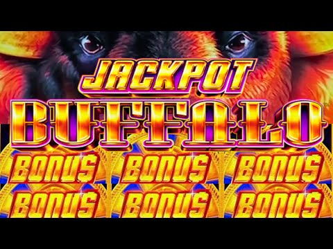 Jackpot Buffalo!! One Wild Ride! Bonus After Bonus!! 🦬 Slot Machine (aristocrat Gaming)