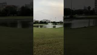 Ambience Golf Greens ⛳️✨ #nature #explore #youtubeshorts #reels #beautiful #peace #naturelovers