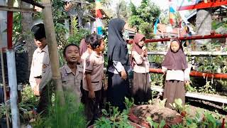 Profil Pelajar Pancasilaghbepisode Berkunjung Ke Kebun Sayurankelas 4 Lundong 1Cnr