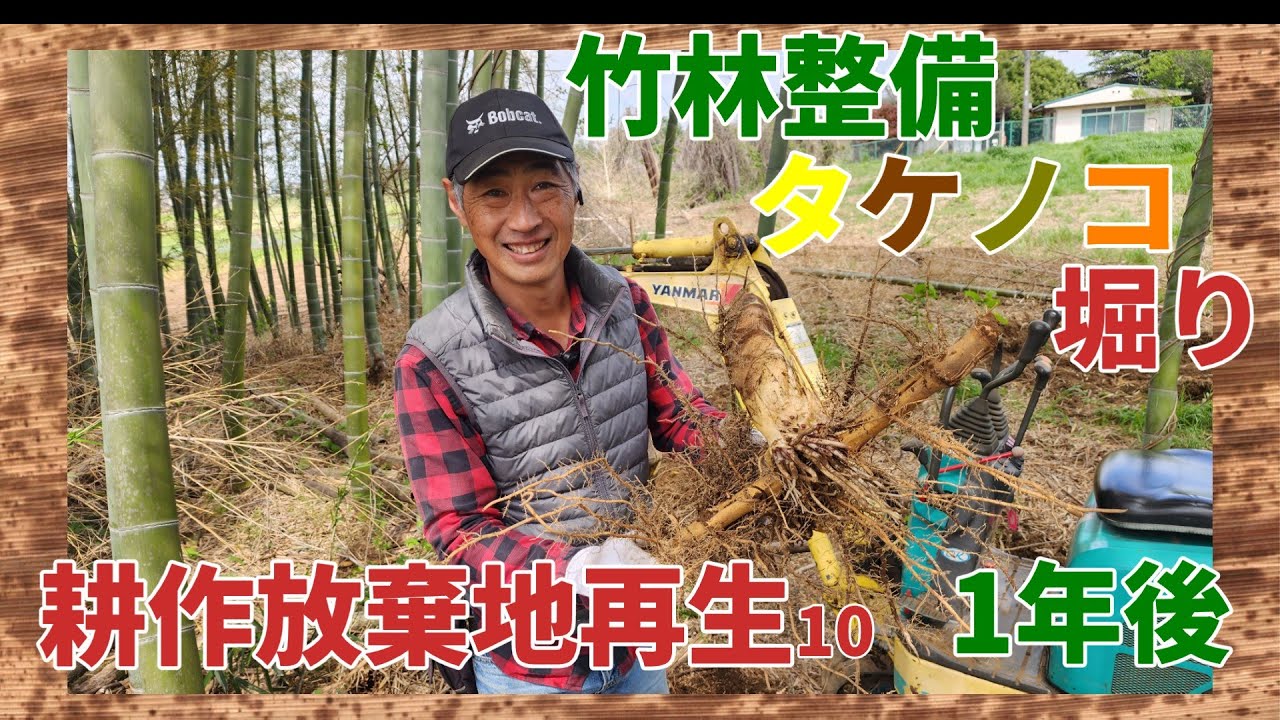 【耕作放棄地再生10の1年後】昨年再生した耕作放棄地でミニユンボでタケノコ堀りをしました！