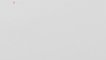 Combining like terms integer coefficients