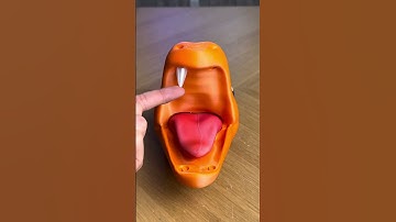 3D Printed Charizard Headphone Stand