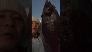 夕マズメヒラメGET‼️2月12日17:45 ヒラメ ルアー