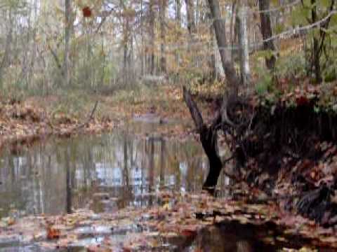 Thorpe Creek Fall 2009.AVI