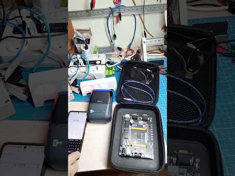 NIIMBOT B1 |