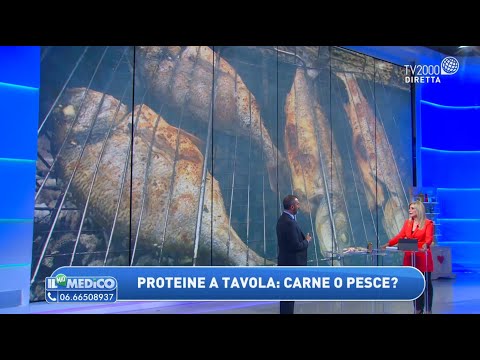 Video: Tonno - che tipo di pesce è questo?