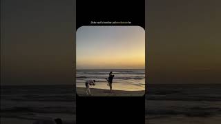 Woh Kisine Khoya Hoga poetry shorts shorts youtubeshorts viralshorts lovestatus