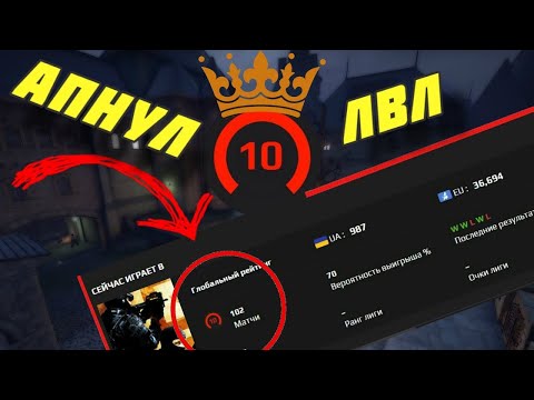 Видео: КАК Я АПНУЛ 10 LVL FACEIT В CS:GO