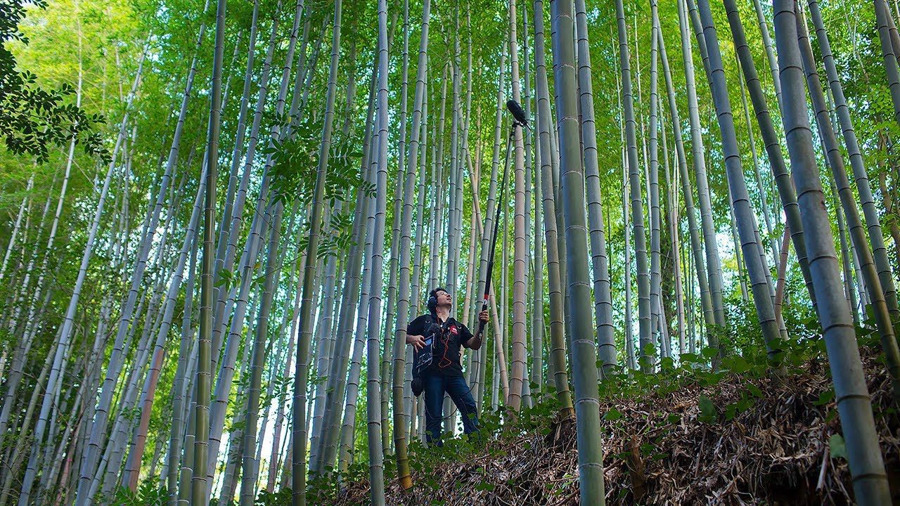 banbi 「sound garden」「sound forest」sumika The 100 Soundscapes of Japan | Amusing Planet