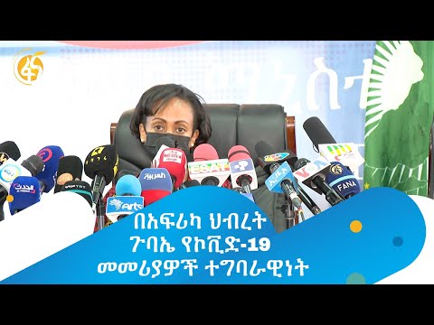 በአፍሪካ ህብረት ጉባኤ የኮቪድ-19 መመሪያዎች ተግባራዊነት