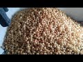 15000 panipuri halt kharab ho gyi#food #panipuriviajes #panipuri #malethispanipuri#streetfood #short