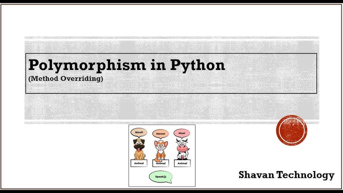 Polymorphism In Python With Examples Techvidvan