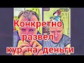 Самвел Адамян Часть1 Придумал новую схему для развода кур на деньги Кока за порог - Севка уже здоров