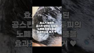 두피의 노폐물과 불순물을 효과적으로 제거 ♥ #공스킨 #GONGSKIN #탈모샴푸 #탈모 #맥주효모비오틴탈모샴푸 gguggu_sweet_home
