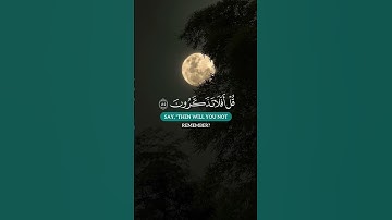 القارئ حاتم المالكي سورة المؤمنون