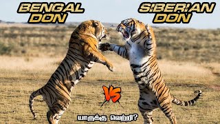 Siberian Tiger vs Bengal Tiger in Tamil | சைபீரியா புலி vs வங்காள புலி | Savage Empire