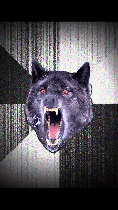 insanity wolf blank