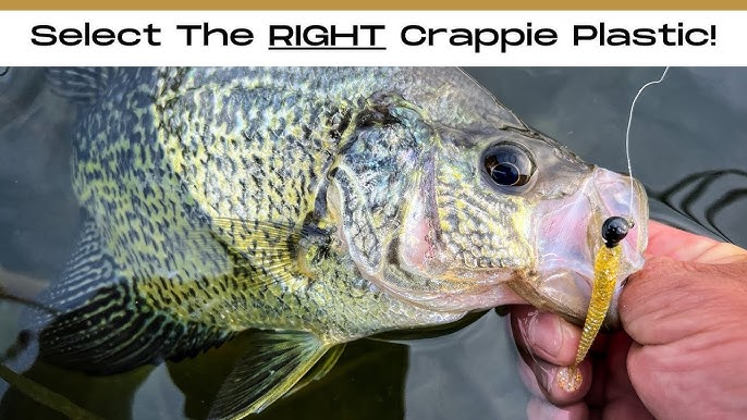 How I Catch Tons Of Crappie On Slip-Bobbers… (And You Can To) 