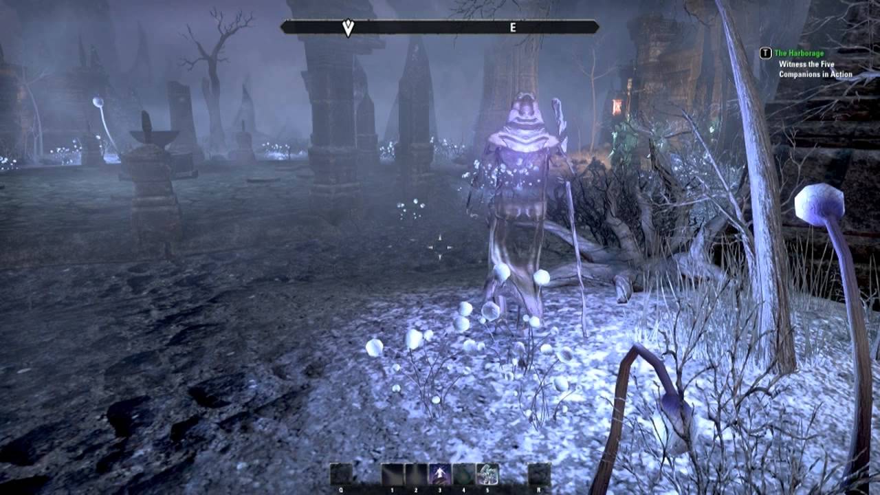 ESO Harborage Quest YouTube