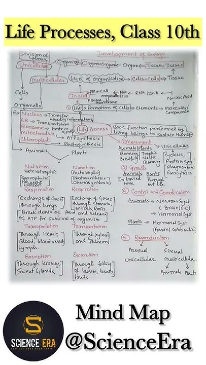 Life Processes, Class 10th | Mind Map | @ScienceEra - YouTube