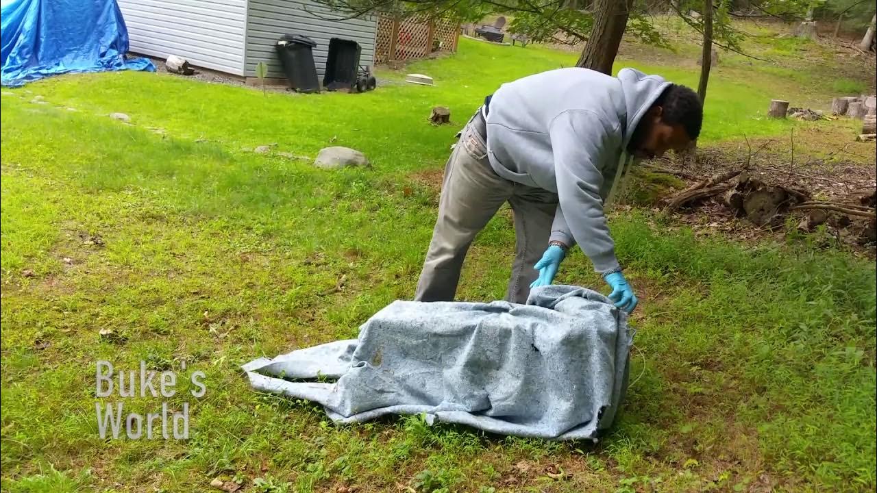 How to Release a Skunk from a Have A Heart Live Trap YouTube