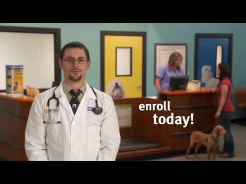 banfield-pet-hospital---optimum-wellness-plans