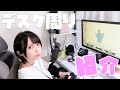 【最新】引きこもり配信者のPCデスク周り紹介