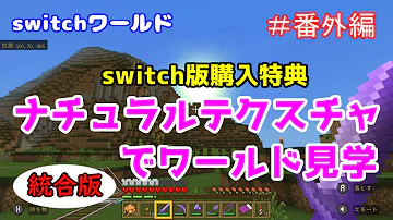 マイクラ Ps4 おすすめテクスチャ