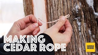 Cedar: Quick and Easy Survival Cordage (And a Tree Bark Education