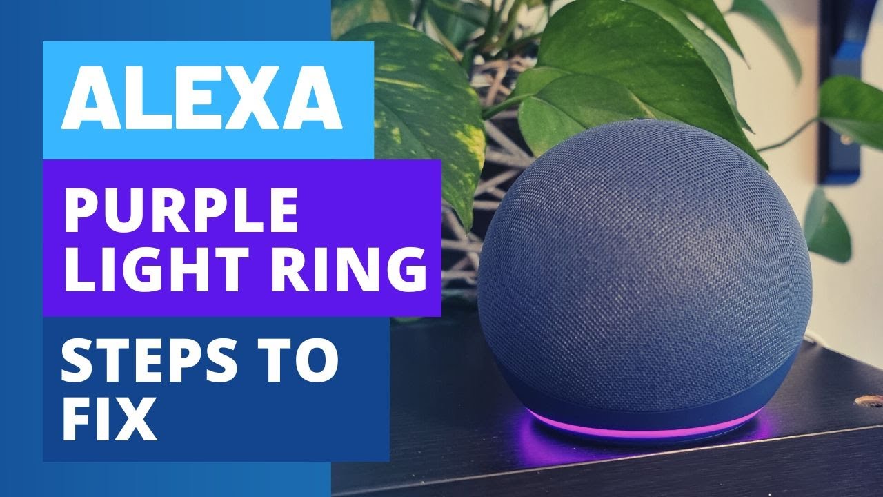 Confused by Alexa's light rings? Here's what the colors mean | TechHive