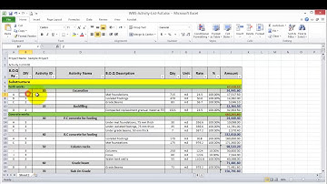 Lesson 6 part 2 primavera activity codes