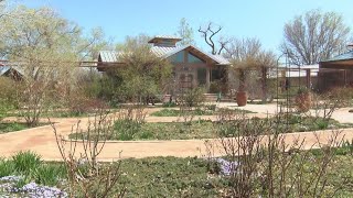 Albuquerque BioPark increasing efforts to save endangered plants