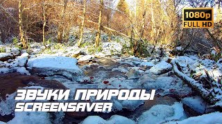 Живая природа - Река | Зима | Звуки природы | Звуки ручья | Шум воды | Белый шум | Заставка ТВ