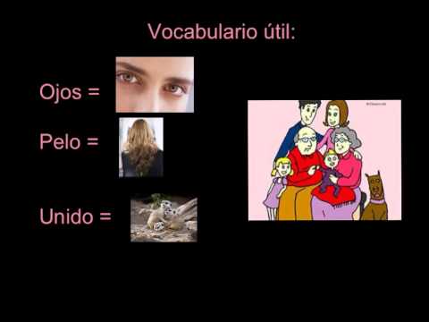 Video: ¿Es attacca una palabra?