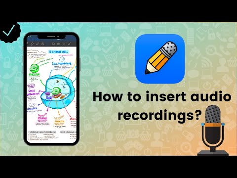 How to insert audio recordings to notes on Notability? - Notability Tips