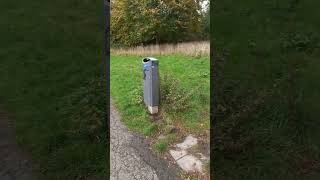 het wordt zo mooi in het schollebos