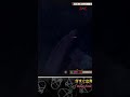 モーリーとオオカミたち(命の触れあい物語 | #zombiemaulie auf #Twitch