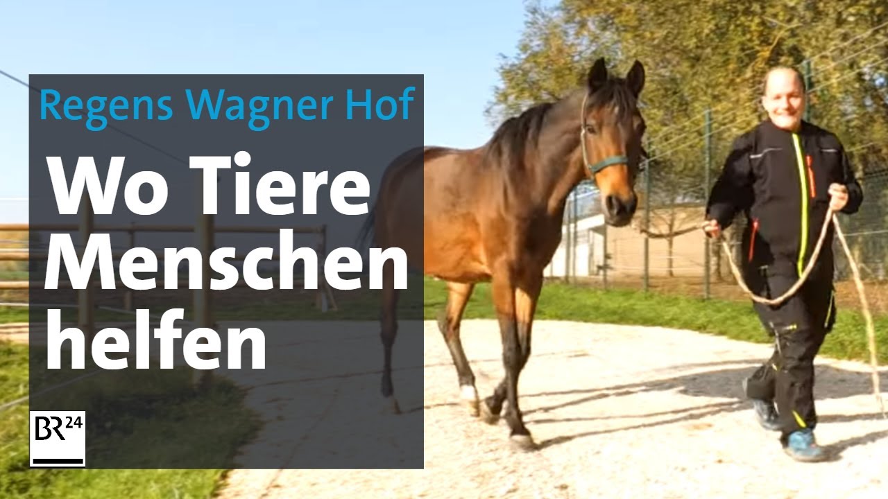 Der Regens Wagner Hof: Ein besonderer Ort für besondere Menschen | BR24