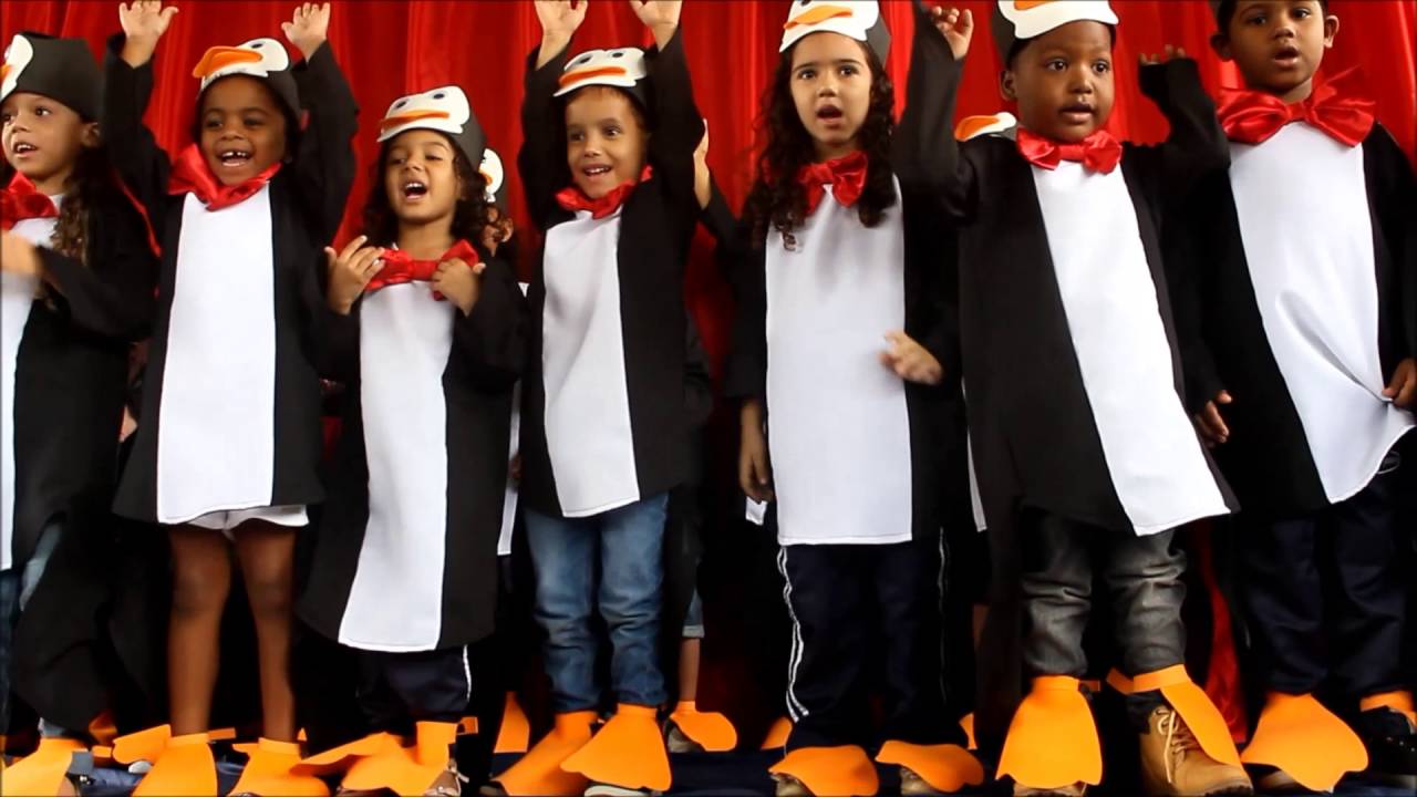 o pinguim toquinho o pinguim toquinho