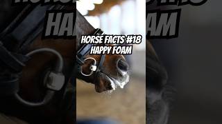 #horse #horsefacts #horses #horseriding