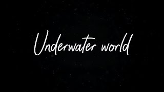 Pantomime - Underwater world