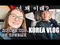 [한국어 자막] 국제커플. 와이프 영원히 익숙해질수 없다. KOREA VLOG. 브이로그