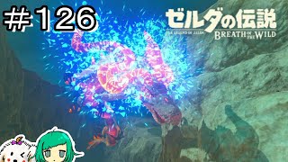 【女性実況】Ex 英傑リーバルの詩 龍と盾サーフィン編【ゼルダの伝説 ブレス オブ ザ ワイルド】１２６