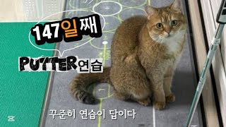 🐈147일째 Golf 퍼팅연습 꾸준함 성장