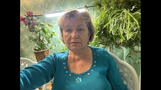 Профилактика Диабета Фитотерапия Психосоматика